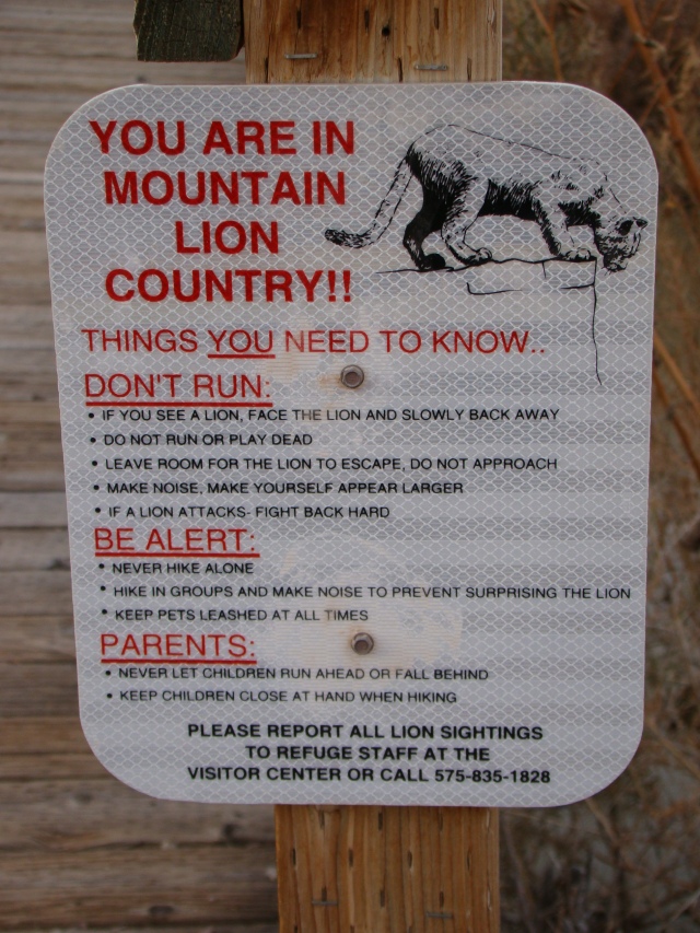 Be on the lookout for mountain lions.